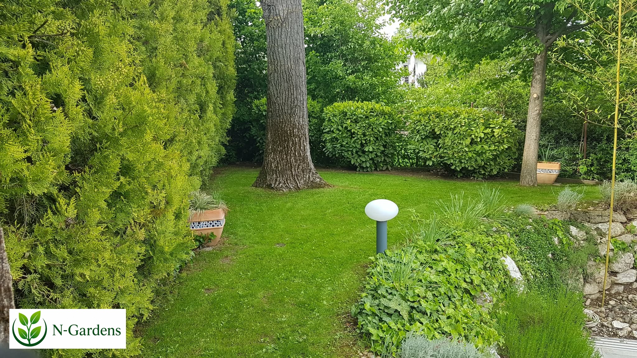 Üröm - kergondozás